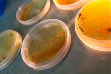 Khám phá cách phân tử trở thành vũ khí chống ung thư