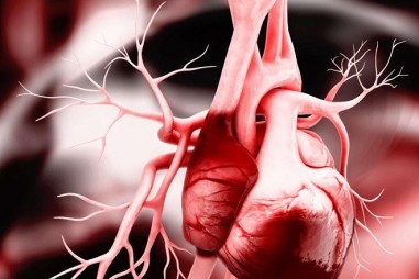 Bổ sung alirocumab vào điều trị statin cường độ cao làm giảm các mức độ gây tổn thương của mảng bám.