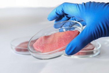 Kỳ lạ cây thuốc lá giúp sản xuất thịt nhân tạo ít tốn kém hơn