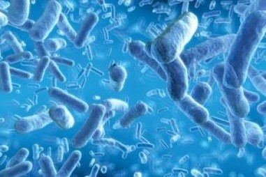 Các nhà khoa học sử dụng công nghệ máy học để xác định vi khuẩn kháng kháng sinh