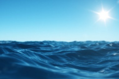 Các mẫu nước đại dương mang lại kho tàng dữ liệu về Virus ARN