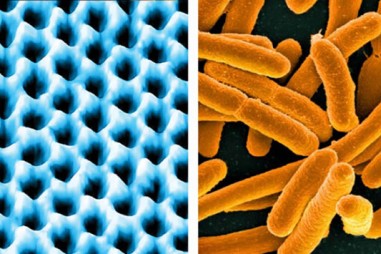 Phát triển thiết bị siêu nhạy nghe thấy vi khuẩn