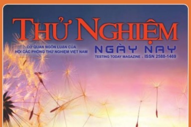 Thử nghiệm Ngày nay số 31
