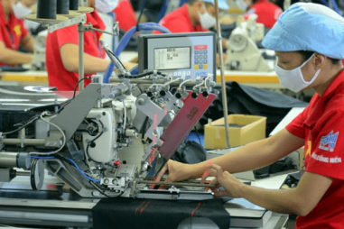 Đảm bảo chất lượng và truy xuất nguồn gốc để xuất khẩu hàng hóa