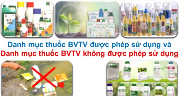 Ban hành Danh mục thuốc BVTV được phép và cấm sử dụng tại Việt Nam