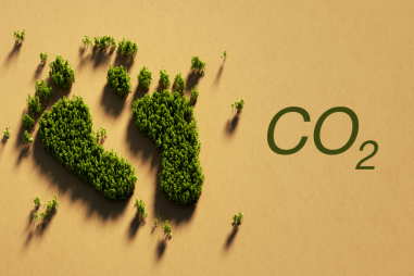 Hiệu ứng nhà kính và các giải pháp từ tiêu chuẩn