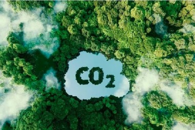 Sớm hoàn thiện đề án phát triển thị trường carbon