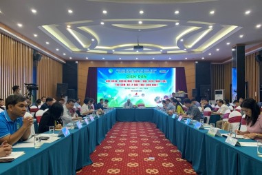 Tháo gỡ khó khăn, vướng mắc trong thực hiện phân loại, thu gom, xử lý rác thải sinh hoạt