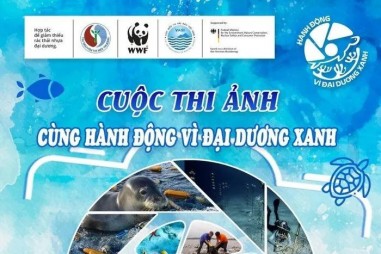 “Cùng hành động vì đại dương xanh”