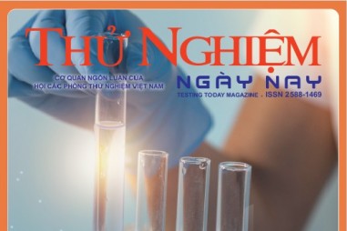 Thử nghiệm Ngày nay số 33