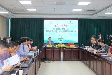 Hội thảo “Thị trường Carbon – Chìa khóa thực hiện mục tiêu Net zero”