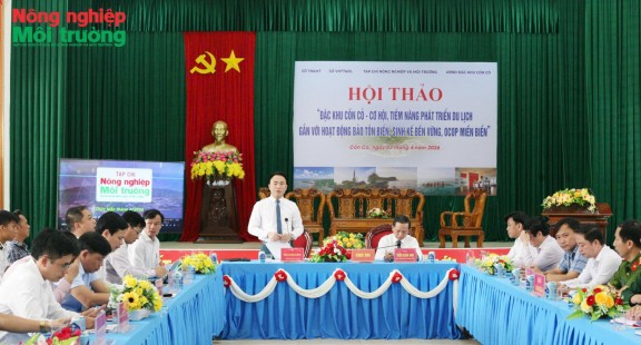 Đánh thức “viên ngọc xanh” Cồn Cỏ theo hướng kinh tế biển bền vững