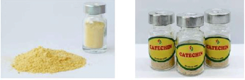 Bột catechin được chiết xuất từ lá chè xanh.