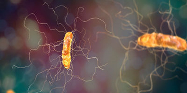 Cách tiếp cận đơn giản có thể giúp tiêu diệt vi khuẩn kháng kháng sinh